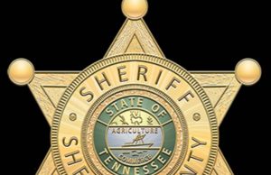 August crime statistics from the SCSO