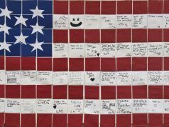 Veterans Day Programs for LSS in November