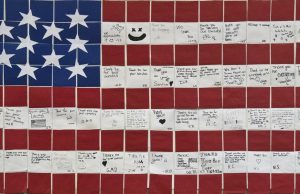 Veterans Day Programs for LSS in November