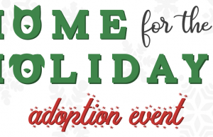 BrownDog Lodge Veterinary Clinic is having a pet adoption event next week