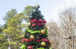 It’s beginning to look a lot like Christmas – In time for the Lakeland Christmas Festival