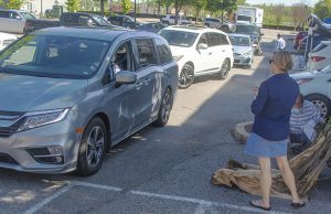 Tree saplings and salads distributed in Lakeland Tuesday