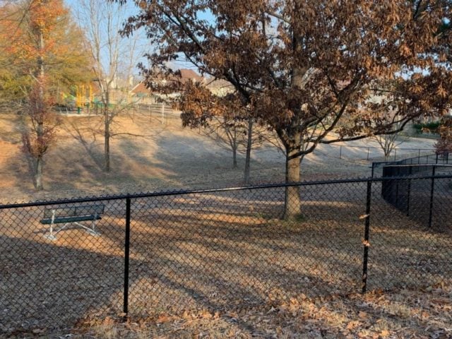 dog park 2