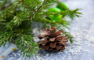 Christmas Tree Curbside Pickup