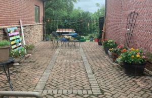 Lakeland Senior Center Starts Garden Club