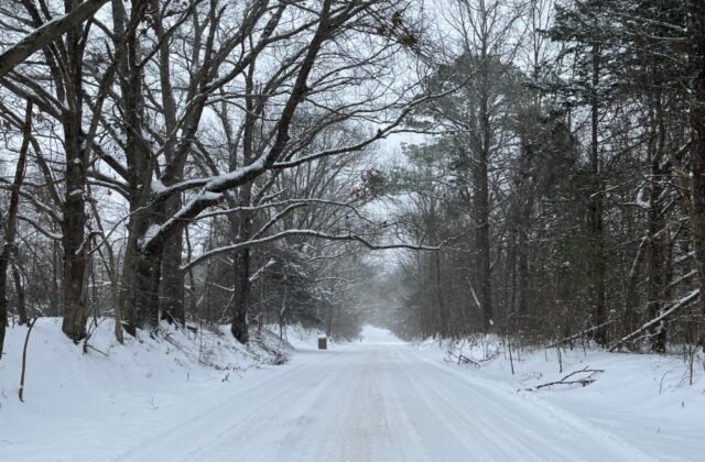 snow memphis arltington
