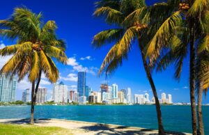 Nicole Danielle Titko of Florida On Fueling the Florida Runner: Personalized Nutrition for Endurance in the Heat Nicole Danielle Titko of Florida is redefining what it means to fuel endurance in a state where the heat is just as much a factor as the terrain.