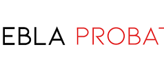 Introducing the Skilled Team Behind Niebla Probate Firm’s Success