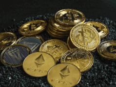 Crypto Hype vs. Reality: What 2025’s Early Investors Need to Know