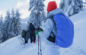 Key Things You Should Consider Before Going on a Half-Day Snowshoeing Hike in Chickadee Ridge