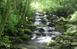 Governor Lee States East Tennessee’s Tourism Is a Key Economic Driver for the Region