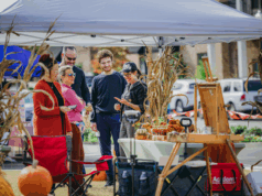 Third Annual Lakeland Arts and Crafts Festival Draws Record Crowd