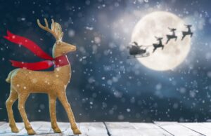 Lakeland to Host West Tennessee’s First-Ever Christmas Drone Show