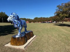 Lakeland Elementary School to Celebrate 25 Years With Community Carnival Event