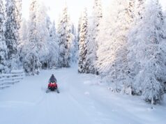 How to Choose the Perfect Off-Road Rental for Any Season – UTV, ATV, or Snowmobile Perfect Off-Road Rental