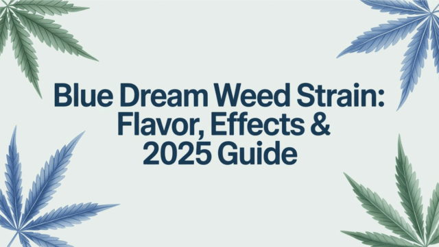 Blue Dream Weed Strain- A Sweet & Relaxing Experience You Can’t Miss!