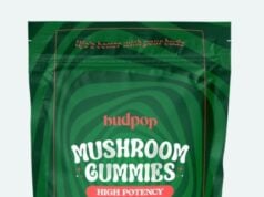 Magic Mushroom Gummies: What First-Time Buyers Should Know in 2026?