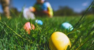 easter egg hunt