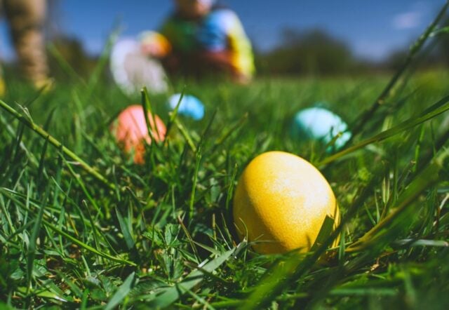easter egg hunt