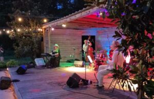 3rd Annual Night of Enchantment Delights Crowd at Delta Blues Winery