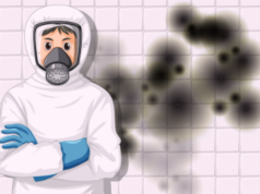 Comparing Mold Remediation and Inspection Certification Standards in 2026: What Matters for Homeowners and Professionals