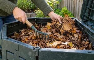 A Beginner’s Guide to Composting Fall Leaves Composting Fall Leaves