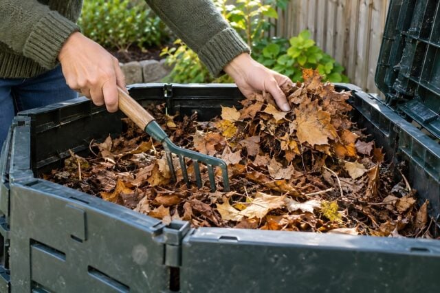 Composting Fall Leaves