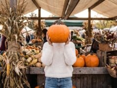 Fall Weekend Ideas