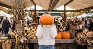 Fall Weekend Ideas