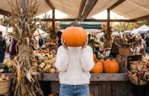 Fall Weekend Ideas Without Leaving Shelby County Fall Weekend Ideas