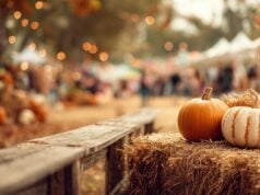 Fall in Lakeland
