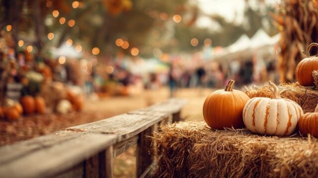 Fall in Lakeland