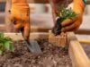 Guide for Lakeland and Shelby County Gardeners