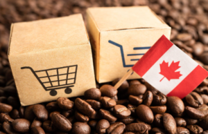 Amazon FBA From Canada: What Canadian Sellers Now Pay to Ship Into US Warehouses