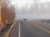 Tennessee During the Fall