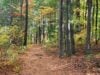 Why October Is a Good Time to Explore Lakeland’s Parks and Trails Lakeland’s Parks and Trails