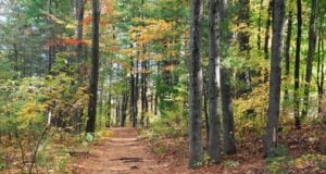 Lakeland’s Parks and Trails