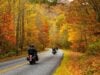 Tennessee’s Trees in October