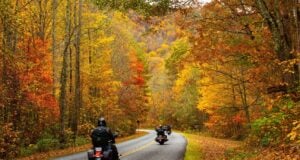 Tennessee’s Trees in October