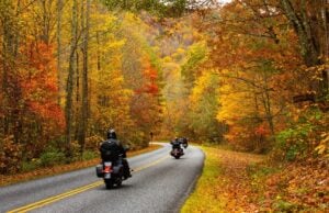 Tennessee’s Trees in October